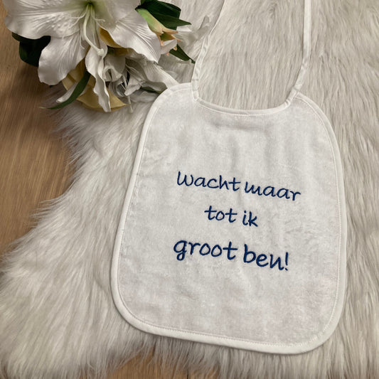 Slab Wacht maar tot ik groot ben