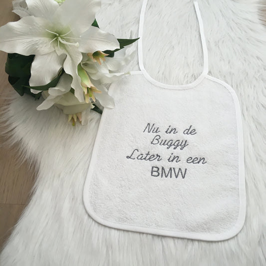 Slab Nu in de buggy later in de BMW