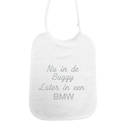 Slab Nu in de buggy later in de BMW