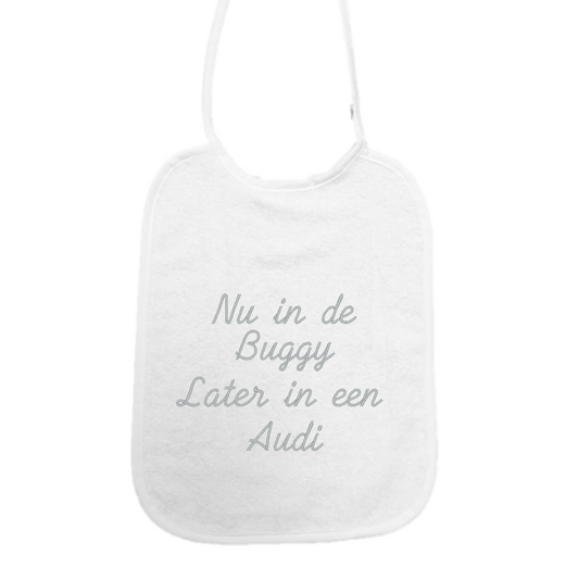 Slab Nu in de buggy later in de audi